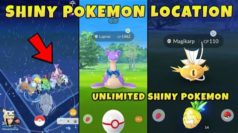 1,000+ Free Shiny.